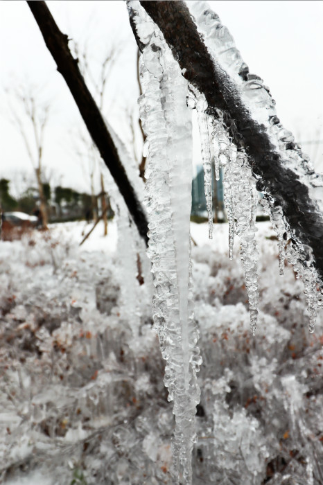 一場(chǎng)雪，體育中心美得不要不要的 但最美的風(fēng)景還是他們(圖4)