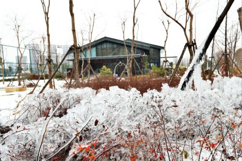 一場(chǎng)雪，體育中心美得不要不要的 但最美的風(fēng)景還是他們(圖3)